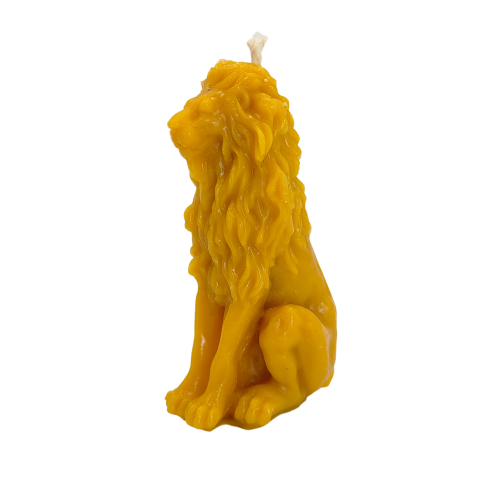 7.png