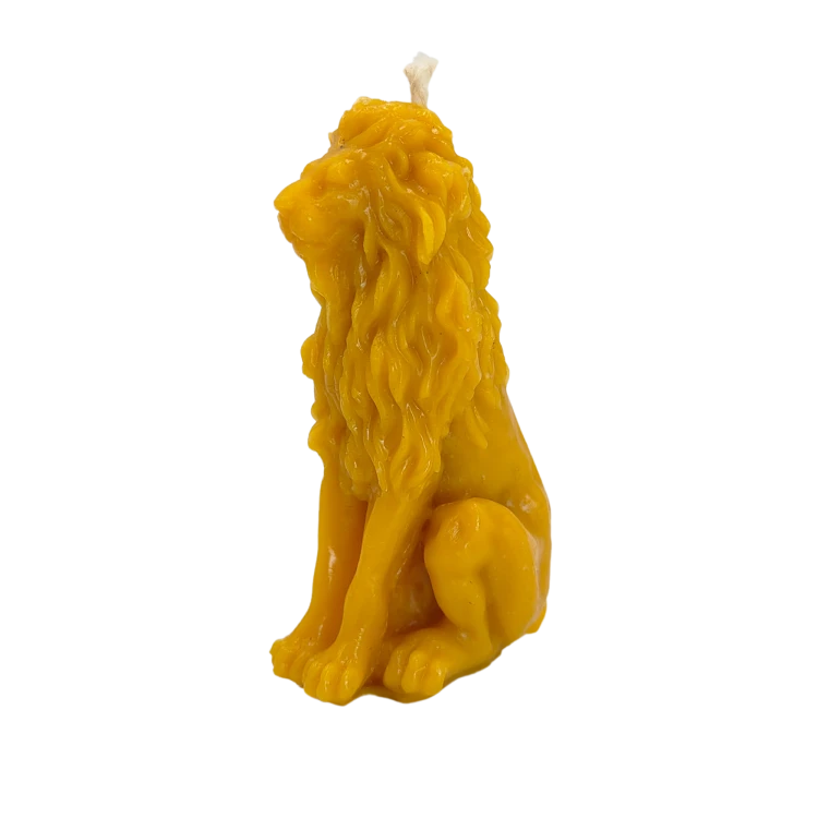 7.png