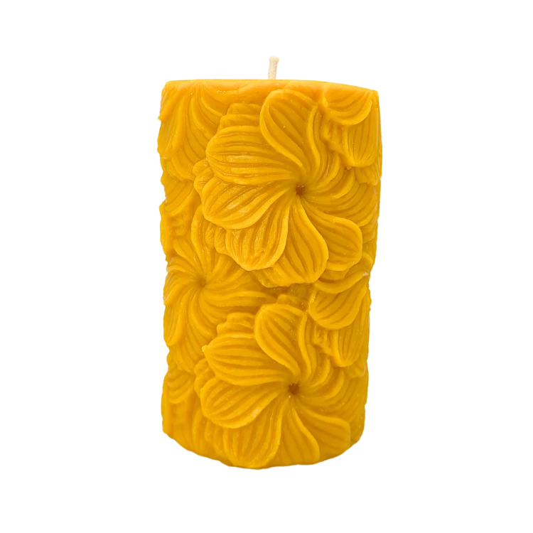 65.png