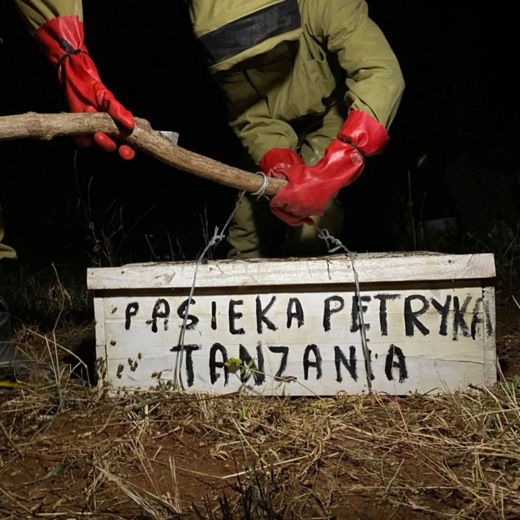 zdjęcia do sklepu aranżacje (1).jpg